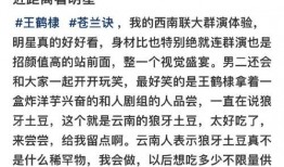 群演爆料骂人视频合集下载,揭秘娱乐圈背后真相